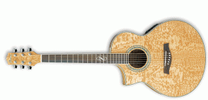 Ibanez - EW 20 Gaucher ASE 
