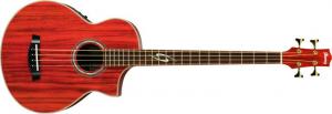 Ibanez - EWB 30 PDE Resonant Natural Low Gloss
