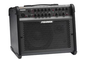 EVH  - Loudbox 100 
