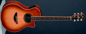 Yamaha - APX Series - APX 700 Sand Burst
