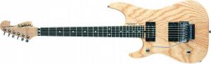 Washburn - N4 ESA Gaucher 
