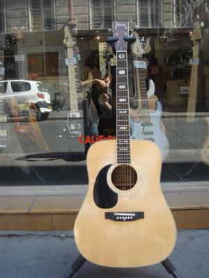 Ibanez - Concord 697 Gaucher 
