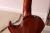 		PRS - Singlecut Hollowbody I Birds 138634 Vintage Amber Burst
		