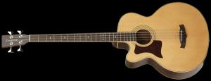 Tanglewood - TW 155 Gaucher 
