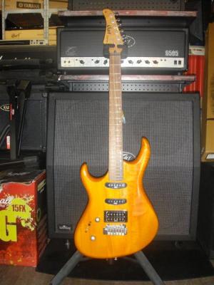 Cort - G 254 Gaucher 
