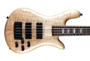 Spector - Rebop 5 Naturelle
