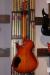 		Vigier - GV Wood Amber
		