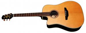 Takamine - TAN 10 C LH Naturelle
