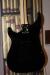 		Vigier - Excalibur Custom HSH Black Diamond / MN
		