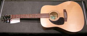 Simon & Patrick - SP 6 E Cedar LH 
