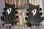 		Vigier - Double manche Doublefoot Black Mat
		