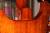 		PRS - P22 Trem 10 Top Orange Tiger
		