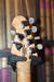 		Musicman - John Petrucci 6 Piezo Sapphire Black
		