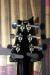 		PRS - Custom - Mark Tremonti Charcoal Burst
		