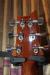 		PRS - P245 Gold Top
		