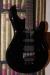 		Musicman - Luke I Reissue 20 th Black
		