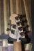 		Musicman - Luke I Reissue 20 th Black
		