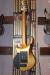 		Musicman - John Petrucci Majesty 7 Goldmine
		