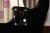 		Vigier - Excalibur Custom HSH Mysterious Blue / RW
		