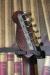 		James Trussart - Deluxe Steelcaster  Rust Dragon Engraved
		