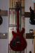 		PRS - Custom 24 Birds 2000 Red Tiger
		