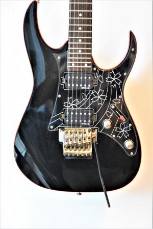 Ibanez - RG08 LTD SAKURA BLAST 
