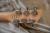 		Godin - RICHMOND DORCHESTER 
		