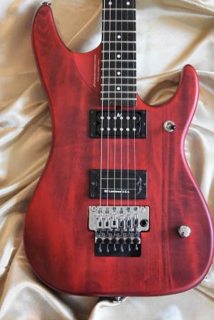Washburn - N 24 NUNO BETTENCOURT  
