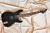 		ESP CUSTOM SHOP - KH2 VINTAGE KIRK HAMMETT  2018 
		