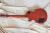 		Gibson - LES PAUL STANDARD CHERRY BURST 2011 
		