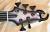 		ESP - 	 ESP E-II DY-5 ( Neck-through ) Doris Yeh Signature 2015 
		