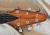 		O'SCANNEL - FLYING V   CUSTOM  
		