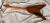 		O'SCANNEL - FLYING V   CUSTOM  
		