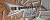 		Jackson - USA RANDY RHOADS CONCORDE limited edition   anne 1992 
		