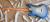 		Fender - STRATOCASTER ELITE  SKY BURST anne 2016 
		