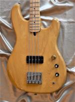 Ibanez 