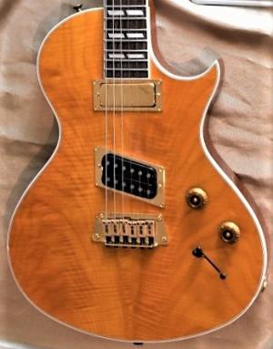 Gibson -  
