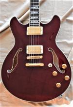 Ibanez EKM100-WRD Eric Krasno   anne 2015