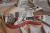 		Fender - STRATOCASTER MONTEREY  anne 2017 
		