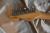 		Fender - STRATOCASTER MONTEREY  anne 2017 
		