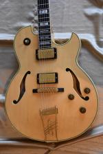 Ibanez PM120 PAT METHENY  2009