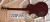 		Gibson - Les Paul  Jimmy PAGE anne 1996 
		