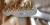 		Fender - ESQUIRE  GT CUSTOM  SILVER anne 2003 
		