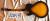 		Gibson - ES 135  MEMPHIS anne 2002  
		