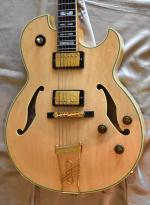 Ibanez PAT METHENY PM-120 anne 2009