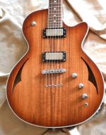 PARKWOOD H4 KOA TOP anne 2010