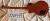 		Gibson - Les Paul 1959 R  anne 2012 
		