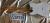 		Fender - TELECASTER GOLD FOIL  LTD anne 2022 
		