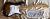 		SQUIER  - STRATOCASTER  JV  anne 1983   JAPAN  
		