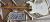 		Fender - STRATOCASTER R 62 JAPAN anne1998 
		